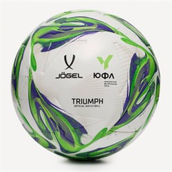 Мяч футбольный Triumph Elite YFL №5 00004180 00004180