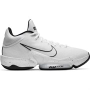 Обувь баскетбольная Nike Zoom Rize 2 TB CT1500-100