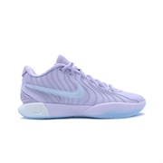 Обувь баскетбольная Nike Lebron XXI HF5353-500 HF5353-500(K)