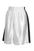 Шорты баскетбольные Nike Womens Supreme Shorts 119803-102