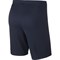 Шорты тренировочные Nike Dry Academy18 Short JR 893748-451 893748-451