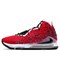 Обувь баскетбольная Nike Lebron XVII BQ3177-601 BQ3177-601