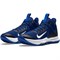 Обувь баскетбольная Nike Lebron Witness IV TB CV4004-400 CV4004-400