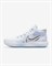 Обувь баскетбольная Nike KD Trey 5 VIII CK2090-100 CK2090-100