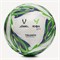 Мяч футбольный Triumph Elite YFL №5 00004180 00004180