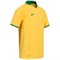 Майка футбольная Nike Herren Sport Trikot DriFit Brasil 264661-705 264661-705